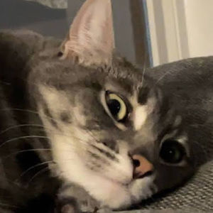 Meet your Posher, Eliza